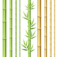Fototapeta na wymiar Realistic 3d Detailed Bamboo Shoots Set. Vector