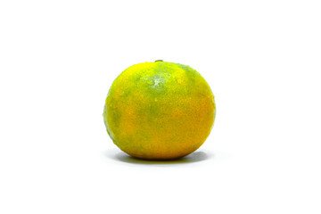 Orange fruit in white background