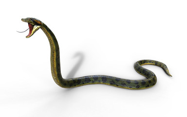 Naklejka premium 3d Illustration Anaconda, Boa Constrictor The World's Biggest Venomous Snake Isolated on White Background, 3d Rendering