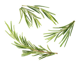 Obraz premium Rosemary isolated on white background.