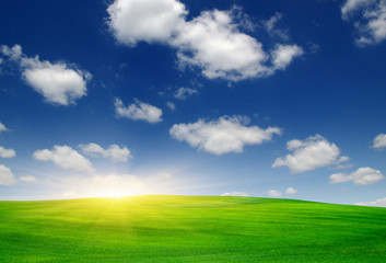 Fototapeta premium Green field and sun.