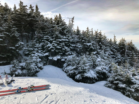 Vermont Ski