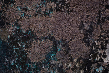 Old cement background