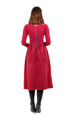 back view of standing young beautiful  woman.