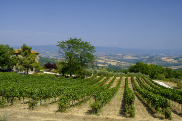 Fototapeta na wymiar Country landscape from Orvieto to Todi, Umbria, Italy