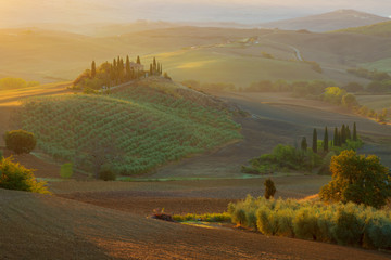 rural house on the hill among vineyards in sunrise, Tuscany, Italy