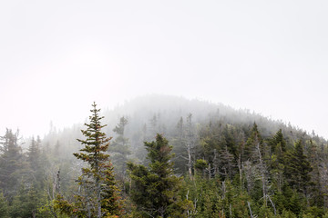 An Adirondack mountain remains barely visible through the fog. 