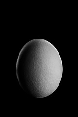 Waxing gibbous Moon Phase show by Egg in night with shadow Planet