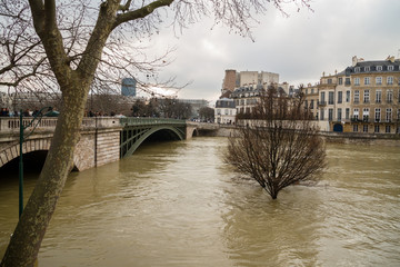 Flood of the Seine 2018 in Paris France