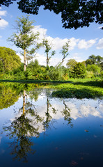 Fototapeta premium Idyllic tree reflection in the lake