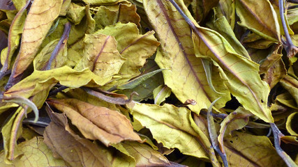 Advanced black tea, the color is very beautiful