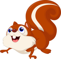 Vector illustration of Cartoon squirrel isolated on white background