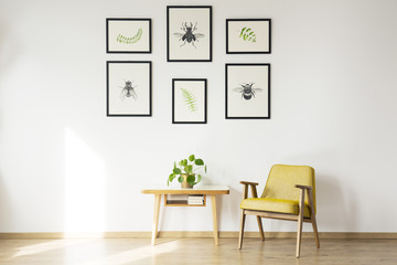 Yellow vintage chair in room