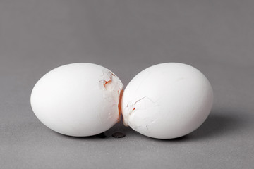 Broken white give eggs with a crack through which you can see the yolk. Gray background