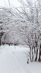 winter 2017 in Ukraine