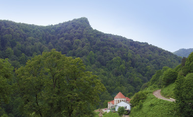 Fototapeta na wymiar The forested valley of the Ijevan range. Around the monastery of Haghartsin. Armenia.