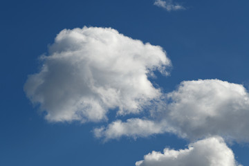  青空と雲「空想・雲のモンスターたち」親子連れ、守られて、庇護、安全をはかるなどのイメージ