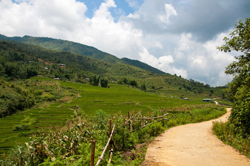 Fototapeta na wymiar Paysage de rizière nord Vietnam