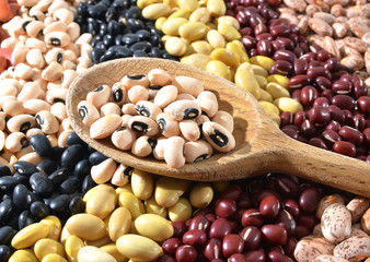 The ranks of different beans: kidney, roman, black eye,edamame, adzuki View from above.