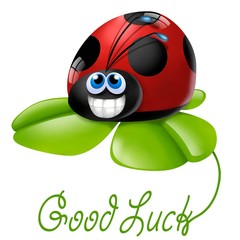 coccinella buona fortuna © Piumadaquila.it