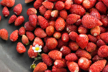 Wild strawberries with plant leaf in a silver colored plate 