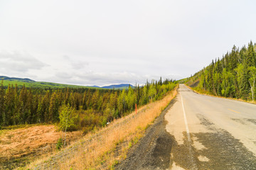 Driving Through the Taiga