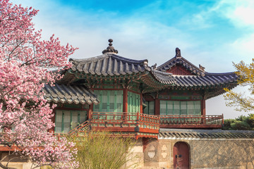 Naklejka premium Spring Cherry Blossom w Changdeokgung Palace, Seul, Korea Południowa