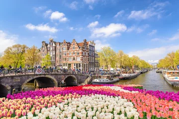 Poster Im Rahmen Skyline von Amsterdam am Kanalufer mit Tulpenfrühlingsblume, Amsterdam, Niederlande © Noppasinw