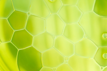 Detail colorful water drops