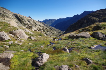 Fototapeta na wymiar Paysage de montagne verte