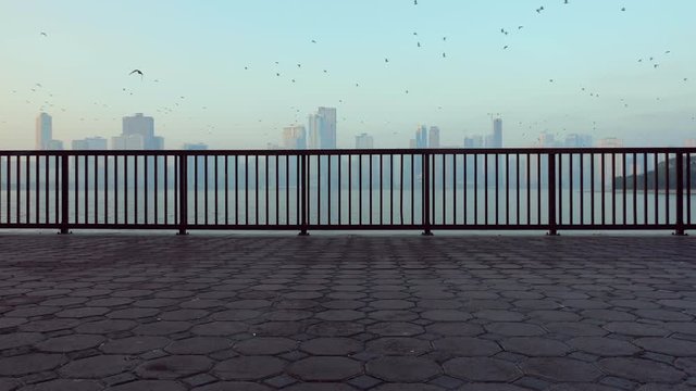 Bird fly above quay. Tile and fance at morning at promenade. Locked shot. Skyline at horizon.