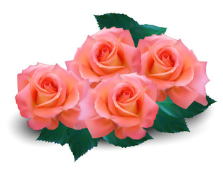 Happy Valentines Day.  Highly realistic illustration.