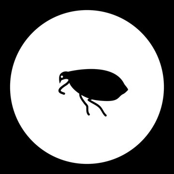 flea insect simple black and green icon eps10