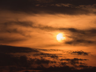 Fototapeta premium Golden Light of The Morning Sun