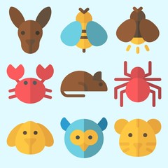 Icons set about Animals with spider, firefly, kangaroo, owl, tiger and rat