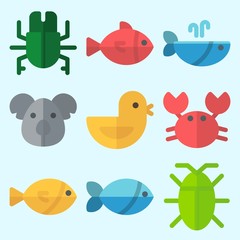 Icons set about Animals with koala, chicken, beetle, fish, cockroach and whale