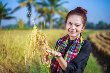 farmer woman holding rice in field