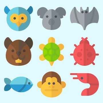 Icons set about Animals with squirrel, ladybug, koala, turtle, owl and monkey