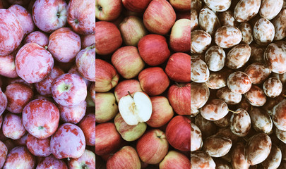 Beautiful autumn dark red Spartan and Emire apples as well as plums background designed as a triptych