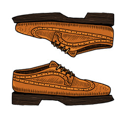 classic shoes or men accessory. engraved hand drawn in old vintage sketch. footwear or brogues, casual style.