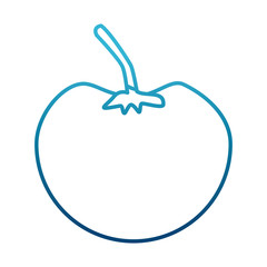 Tomato fresh vegetable icon vector illustration graphic design