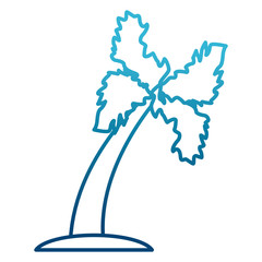 Palm tree isolated icon vector illustration graphic design
