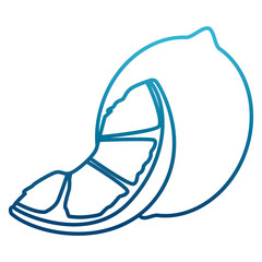 Lemon sliced isolated icon vector illustration graphic design