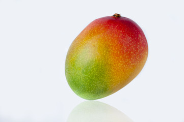 Taiwan famous tropical fruit, mango, aroma of thick flesh golden