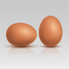 Realistic brown chicken eggs. Natural and healthy farm food vector illustration