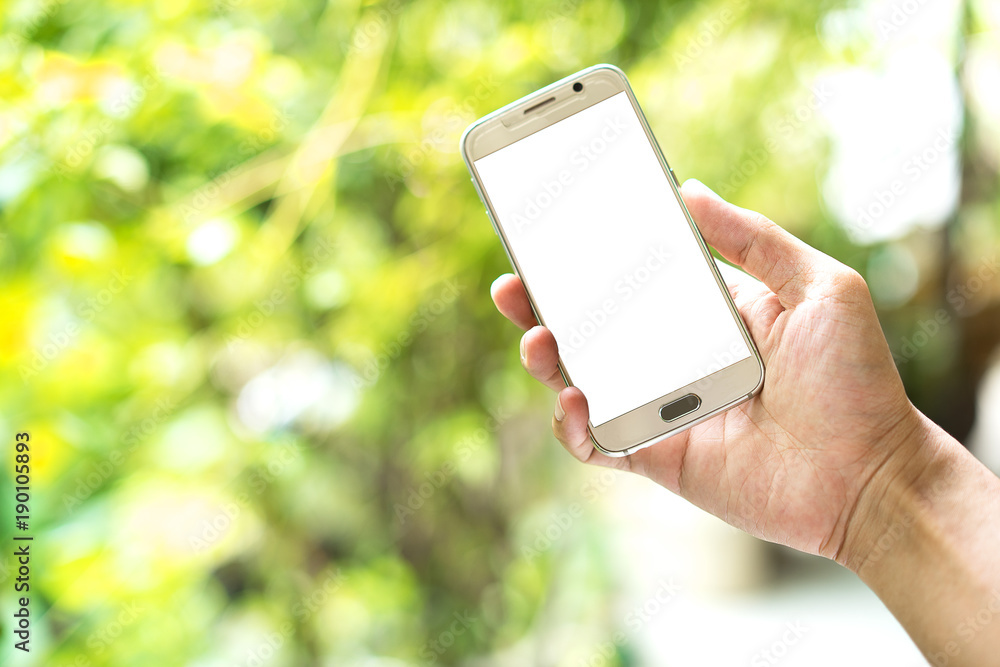 Wall mural hand holding a smartphone with blank screen on green blur background