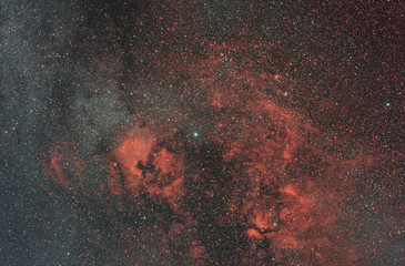 nebula in the Cygnus