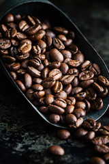 Nahaufnahme von dunkel gerösteten Kaffeebohnen in einer Schütte