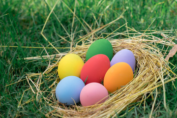 The colorful easter eggs in the nest with green grasses background of front yard