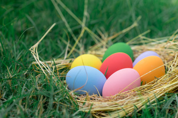 The colorful easter eggs in the nest with green grasses background of front yard